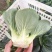 太湖菜