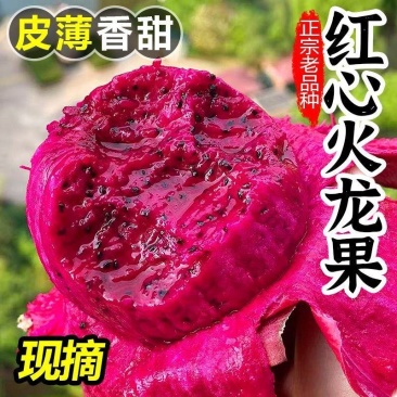 正宗金都一号红心火龙果一件代发，对接各大电商平台