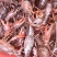 大别山小龙虾大量上市了。