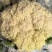 河南西华松花菜现摘现发散花菜脆嫩无渣产地直供整