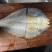 黄鱼干500/600克