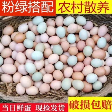 农村散养土鸡蛋,对接商超团购电商一条龙服务