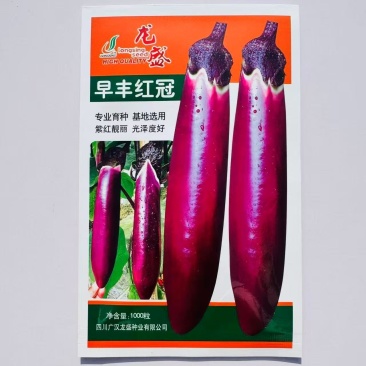 龙盛早丰红冠早熟紫红长茄子种杂交抗病高产皮薄籽少白肉烧烤