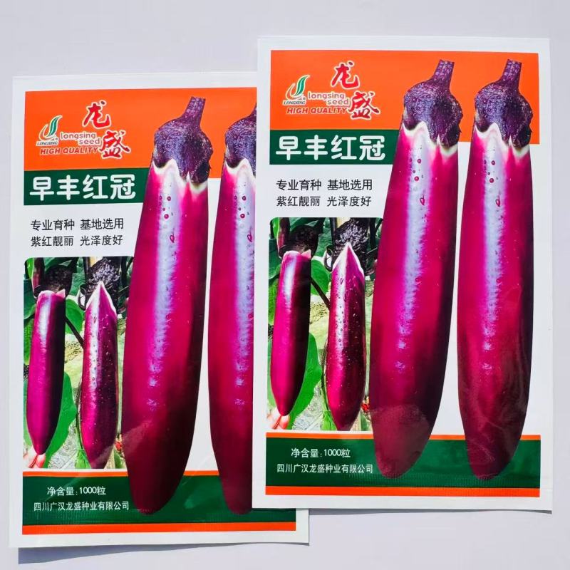 龙盛早丰红冠早熟紫红长茄子种杂交抗病高产皮薄籽少白肉烧烤