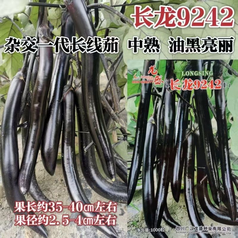 龙盛长龙9242杂交一代长线茄种子中熟油黑亮丽紫萼肉质细