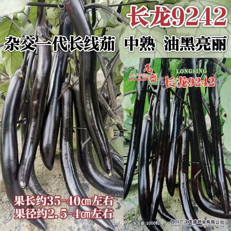 龙盛黑长茄子种子长龙9242长线茄种子油黑长条形茄子种籽