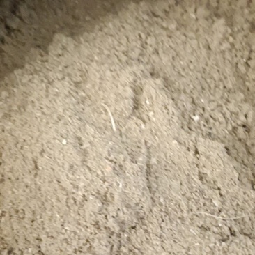 鱼粉