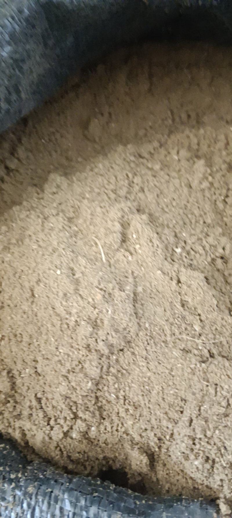 鱼粉