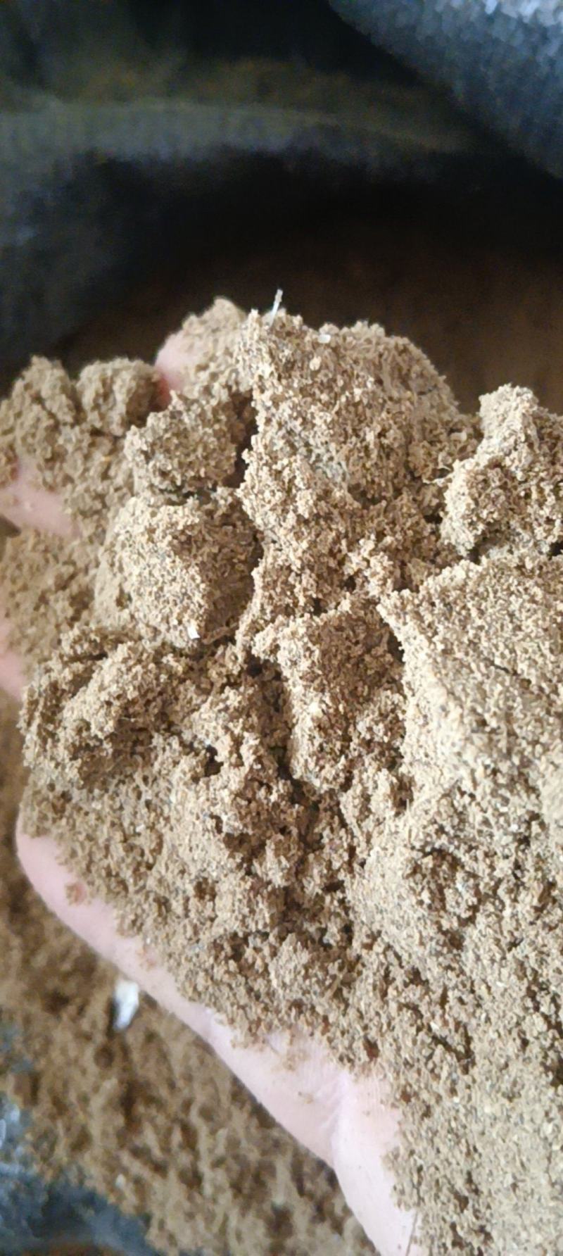 鱼粉