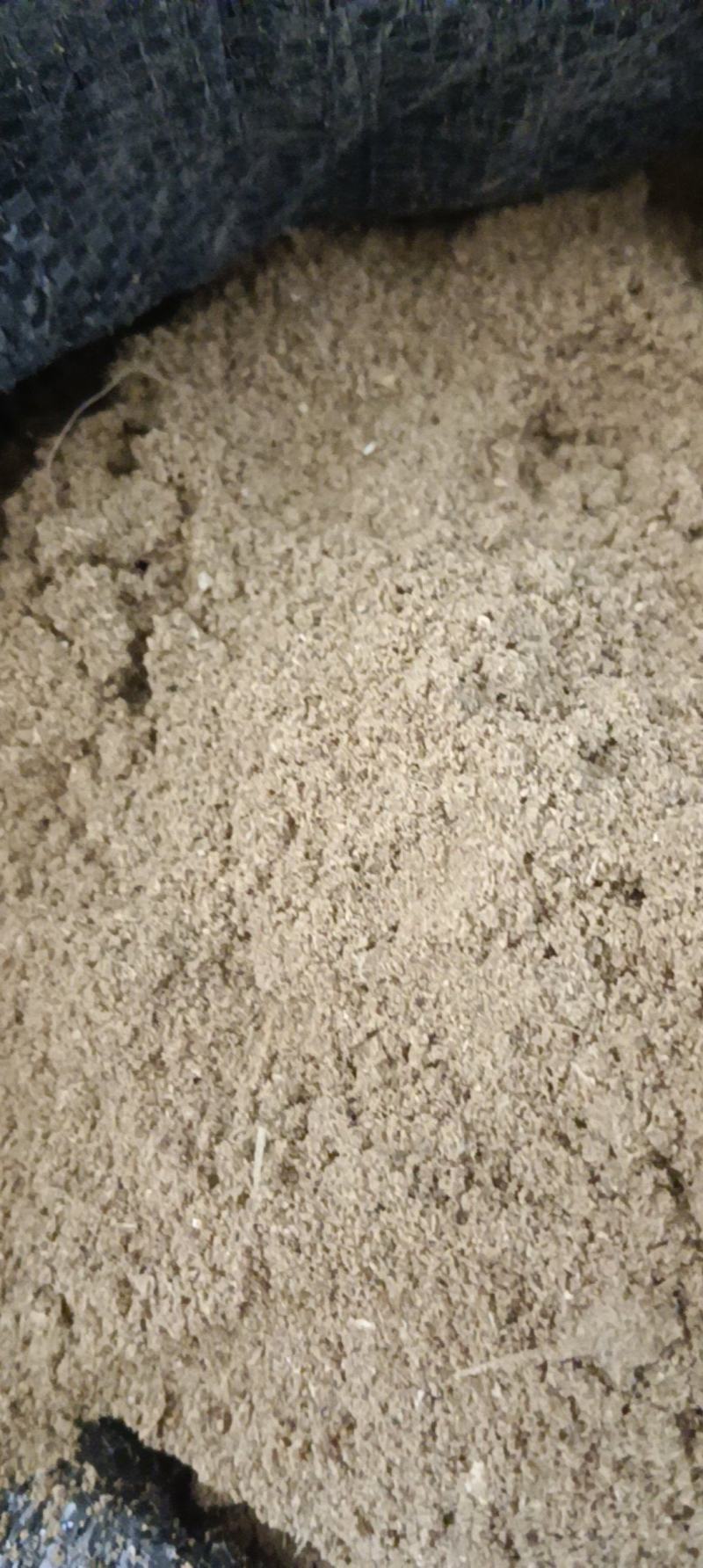 鱼粉