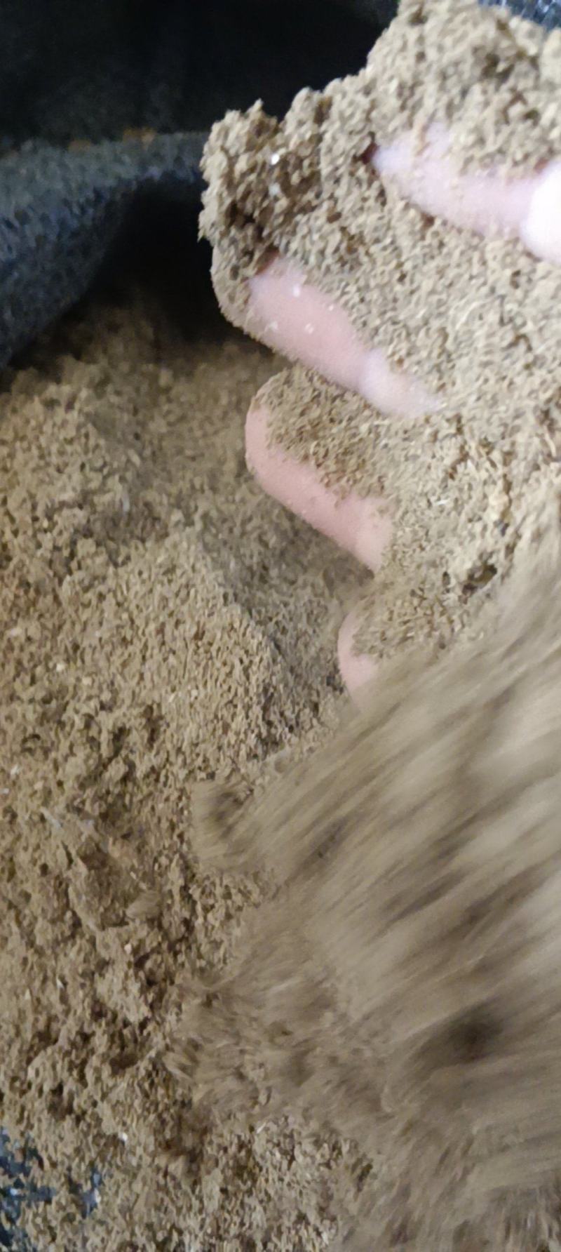 鱼粉