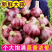 山东莘县鲜蒜中国蔬菜**县源头直供欢迎老板订购