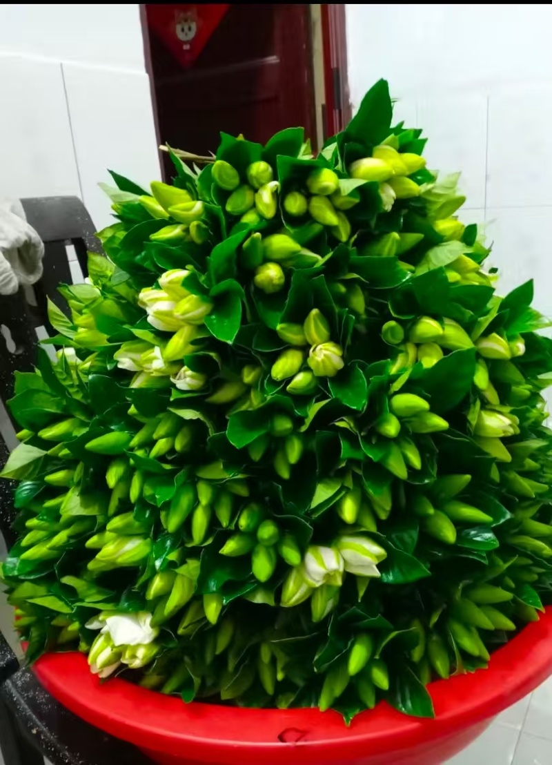 鲜花