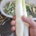 精品双季茭白