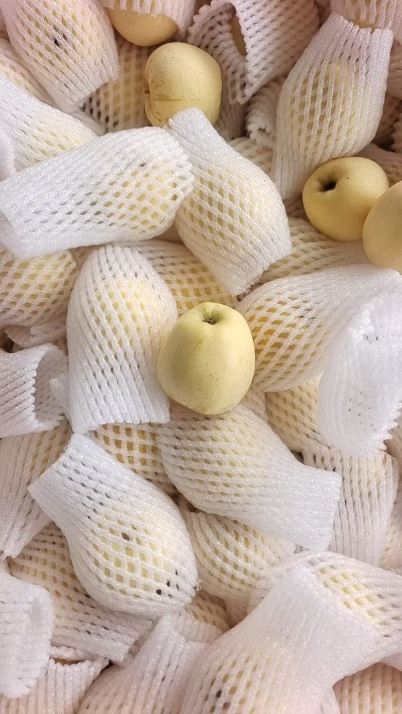 维纳斯，苹果