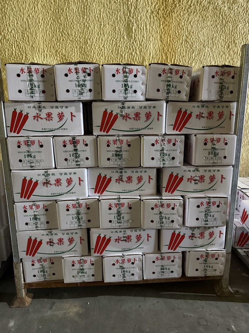 精品秤杆红萝卜，水果萝卜规格齐全，可对接全国工厂商超市场