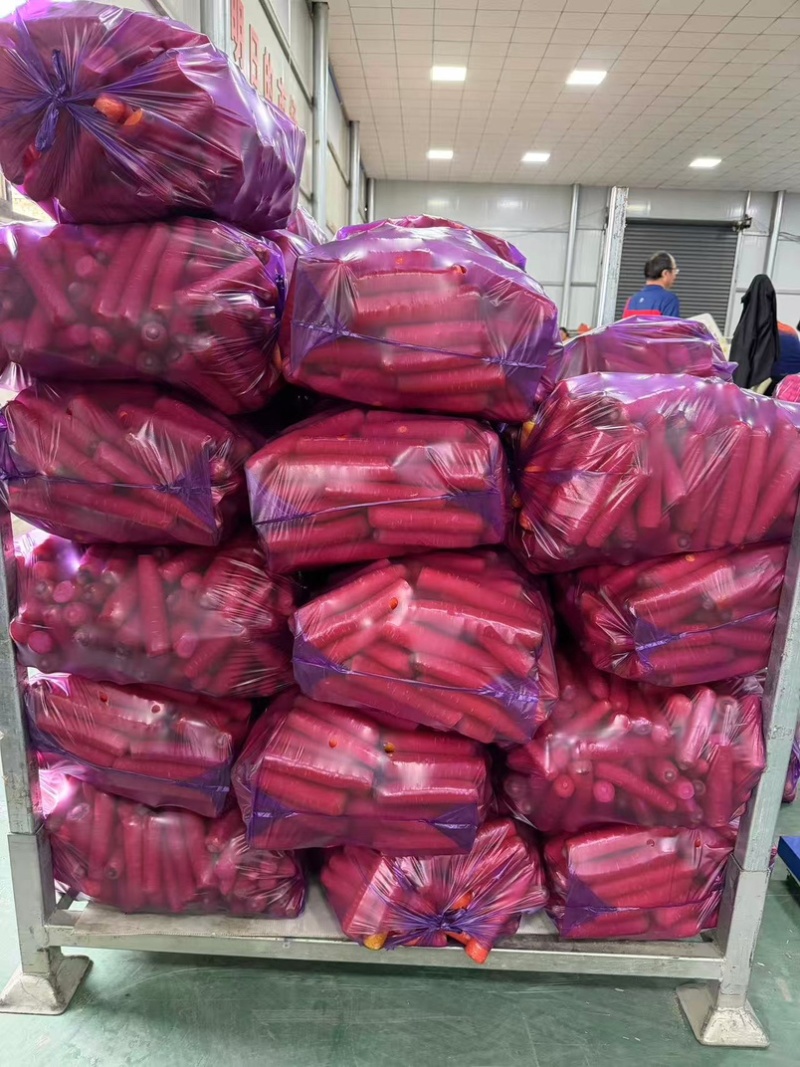 精品秤杆红萝卜，水果萝卜规格齐全，可对接全国工厂商超市场