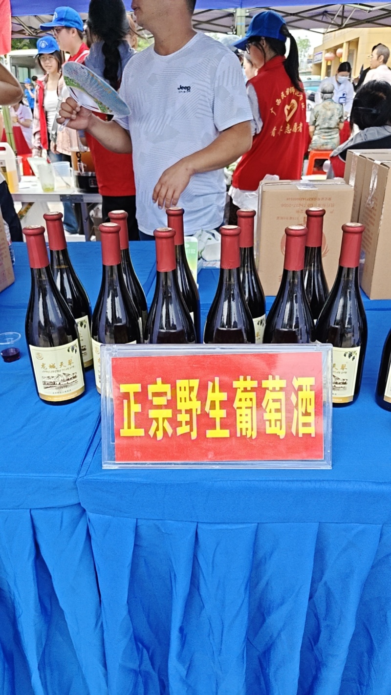 广西龙城天琴野生山葡萄酒，是一款生养保健葡萄酒