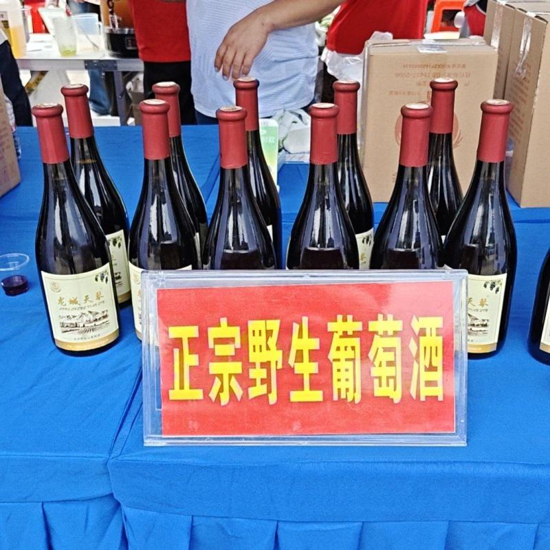 广西龙城天琴野生山葡萄酒，是一款生养保健葡萄酒