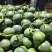 银灰甜瓜台湾银灰甜瓜大棚吊秧种植头茬口感脆甜整车发货货量