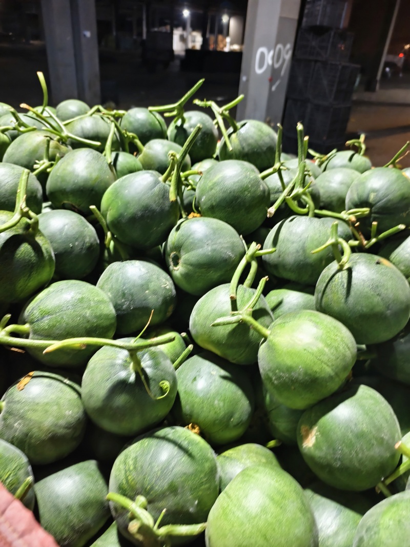银灰甜瓜台湾银灰甜瓜大棚吊秧种植头茬口感脆甜整车发货货量