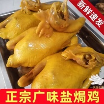 【熟食鸡】盐焗鸡熟食卤味全熟盐焗鸡广式盐焗鸡真空包装商用