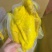 【熟食鸡】盐焗鸡熟食卤味全熟盐焗鸡广式盐焗鸡真空包装商用