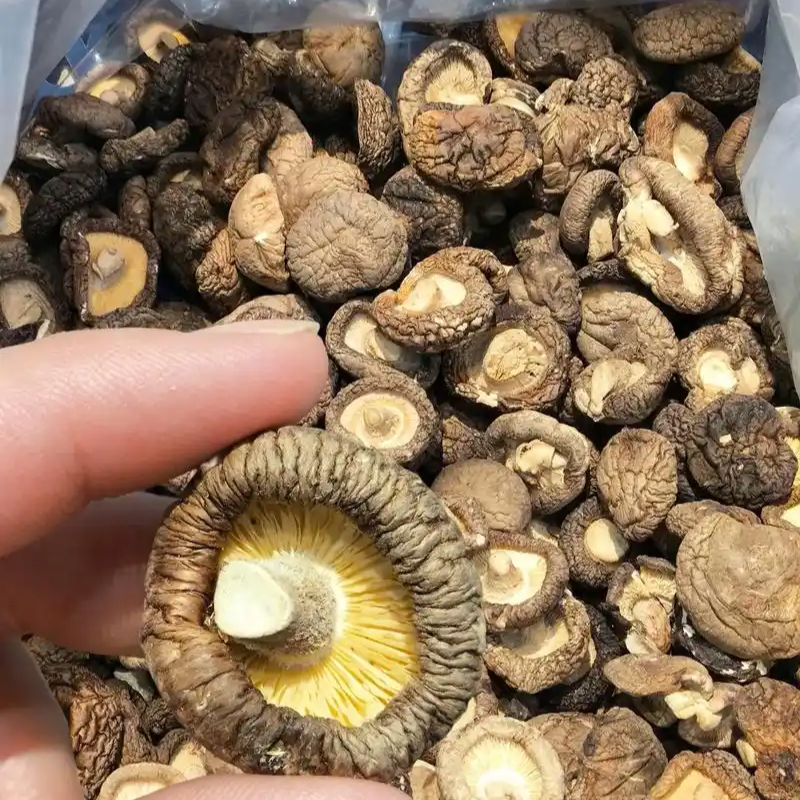 【精】香菇，干香菇，对接批发采购，大量供货，欢迎来电