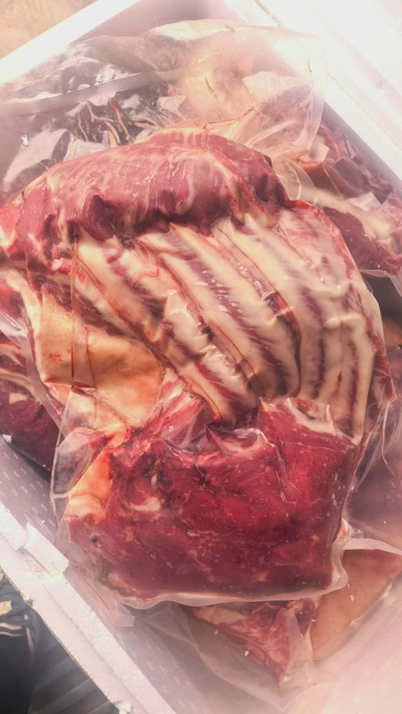 新鲜带皮马肉