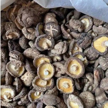 干香菇，河北平泉，货量大，价格优，视频看货，欢迎咨询