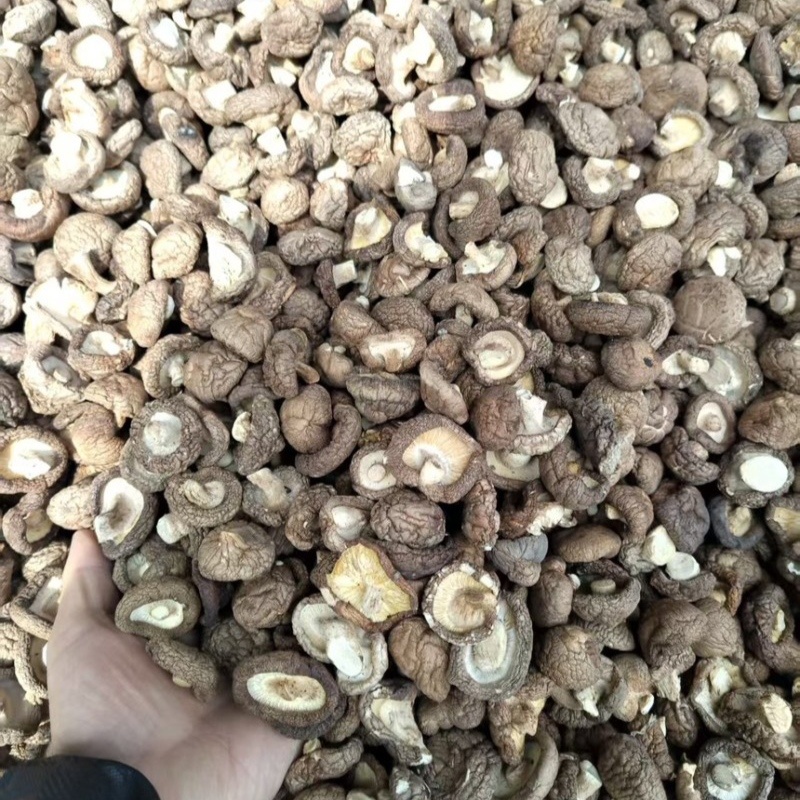 干香菇，河北平泉，货量大，价格优，视频看货，欢迎咨询