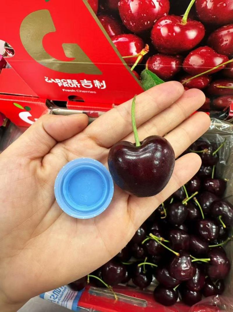 樱桃大连美早234J规格齐全基地直销大量现货包售后