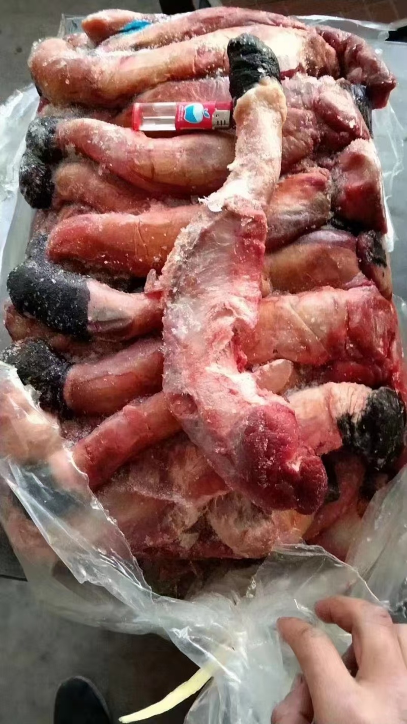 光杆鞭