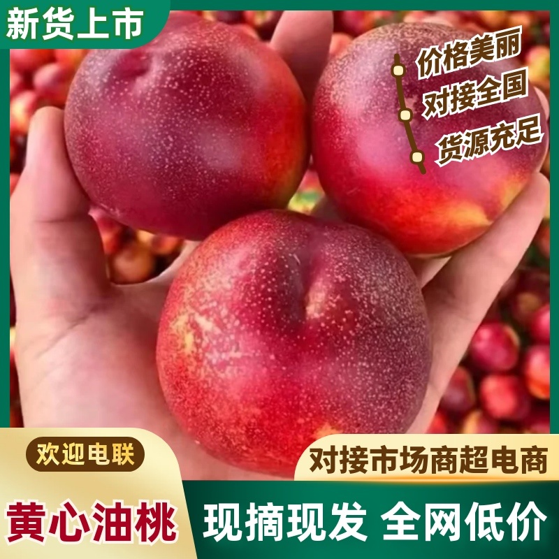 黄心油桃/产区直发/货源充足/欢迎订购/大量有货
