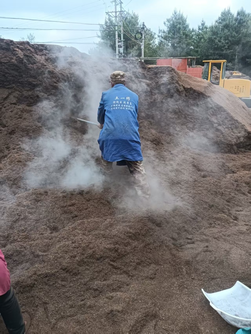 《腐植土》云南腐植土/云南营养土/育苗基质/便宜
