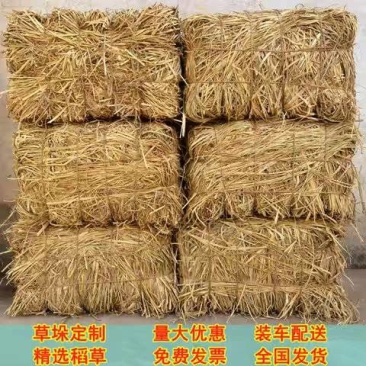 牛草，扎段稻草，小方包，保证过夏，可开发票