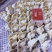 纯手工速冻水饺批发，全国招代理！烟台，威海，青岛免费送货