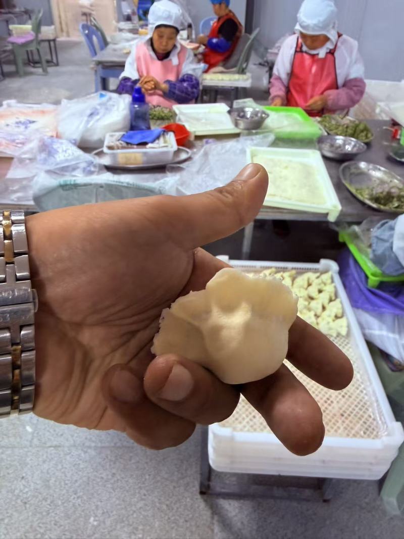 手工水饺，各种馅都有，厂家直发，量大优惠，欢迎合作