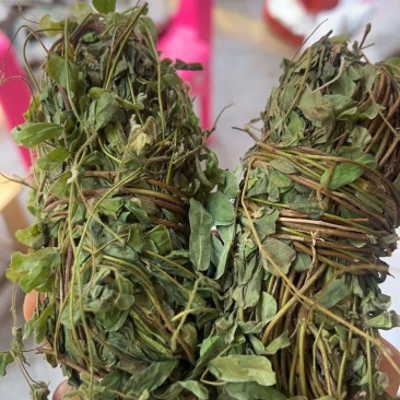 广西农家自晒鸡骨草晒干批发新鲜广西叶子干货带叶子鸡骨草