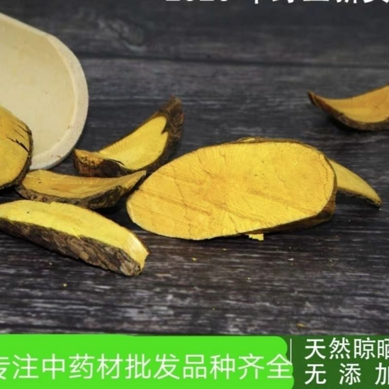 云南深山十大功劳土黄连黄连土黄柏功劳木根黄连