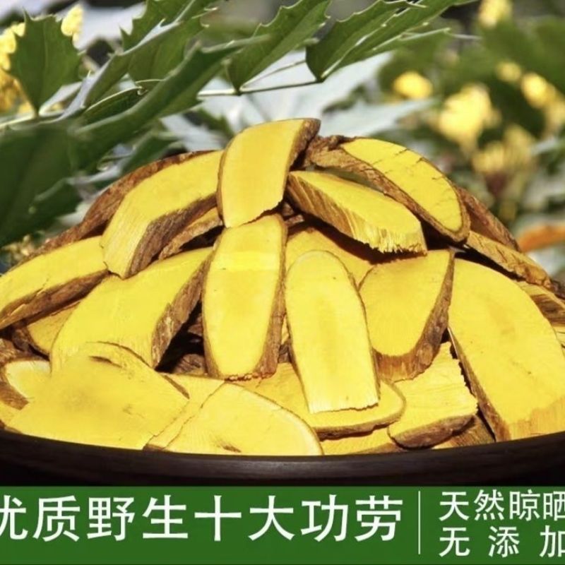 云南深山十大功劳土黄连黄连土黄柏功劳木根黄连