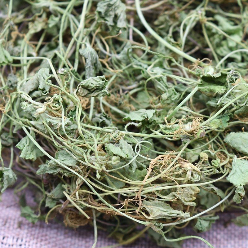 雷公根新货干货积雪草雷公根草马蹄草铜钱草崩大碗