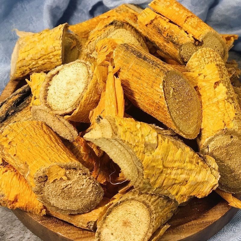 广西穿破石穿破石根川破石根九层皮地棉根