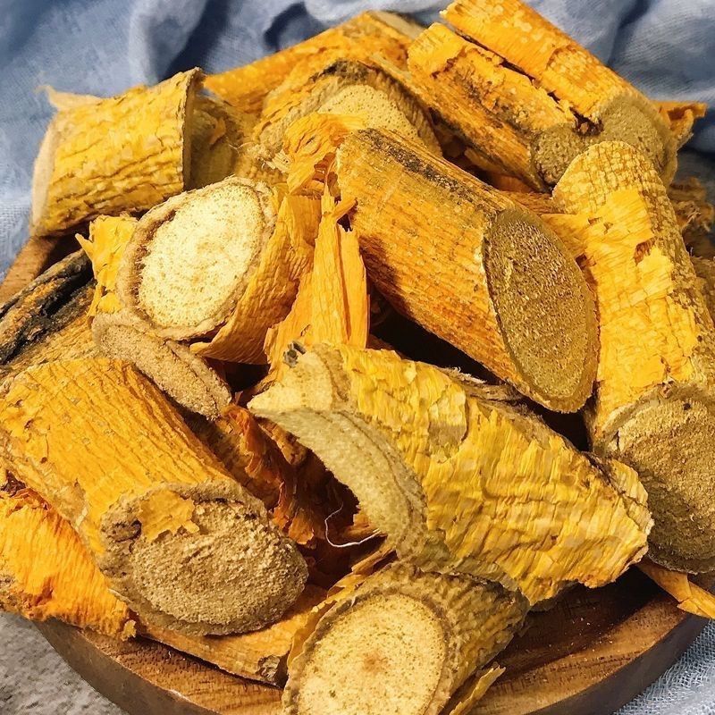 广西穿破石穿破石根川破石根九层皮地棉根