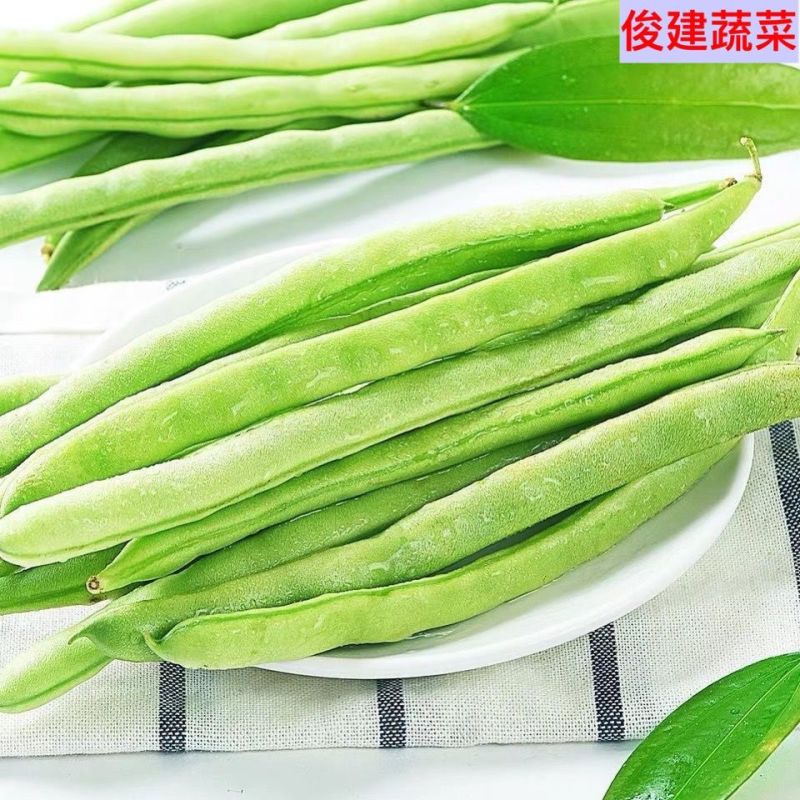 莘县中国蔬菜县无丝豆大量上市，源头直发，欢迎老板订购