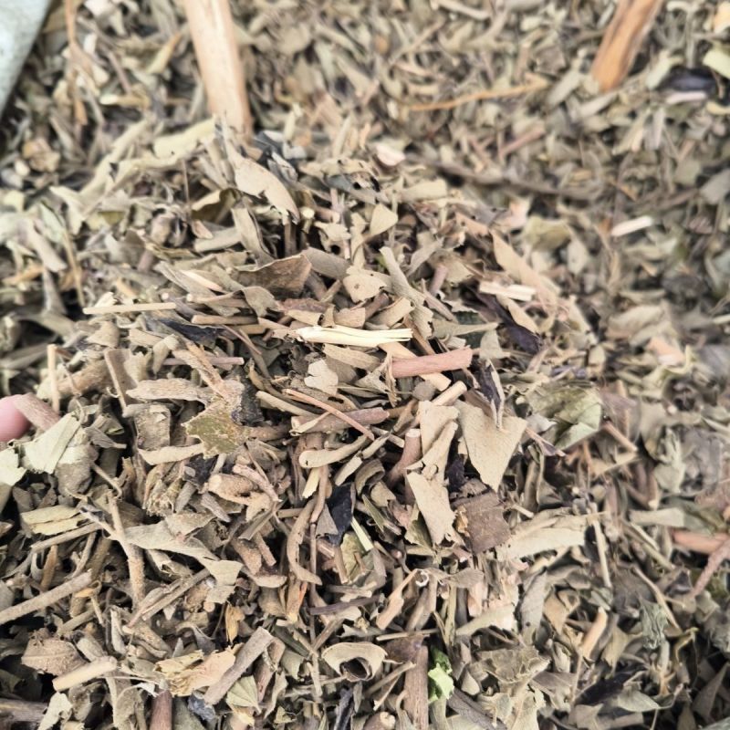 山芝麻叶新货500克包邮广西山芝麻叶中小山芝麻叶色青