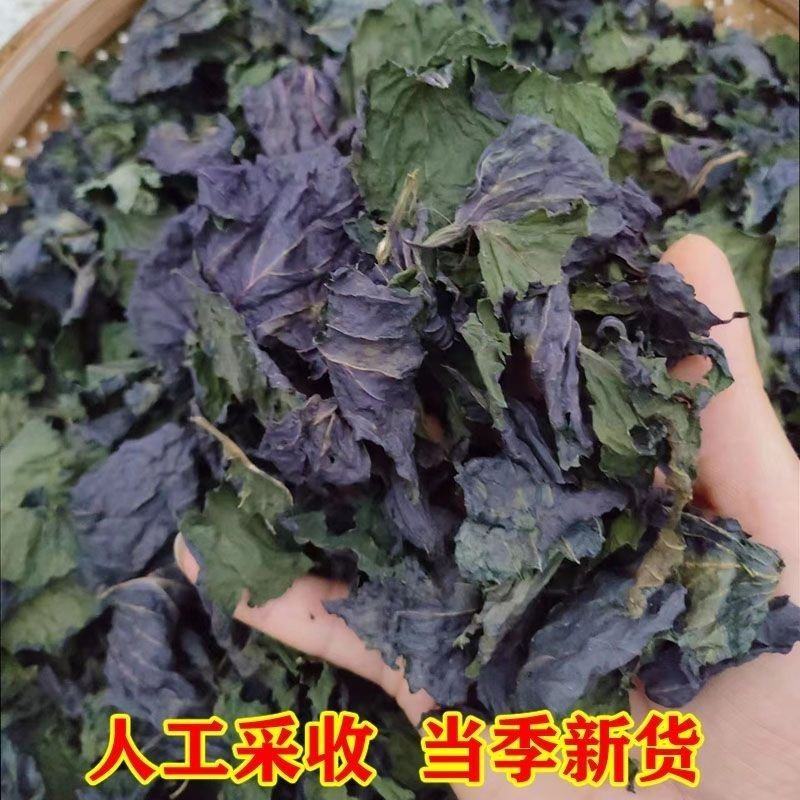 中药材紫苏叶香苏叶干紫苏叶干货烧鱼虾蟹去腥包邮
