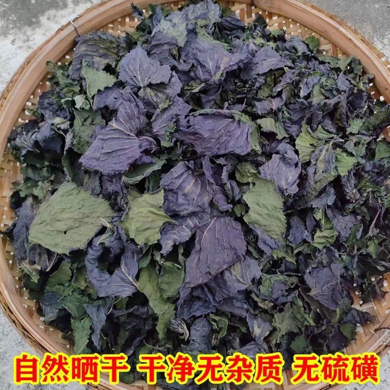 中药材紫苏叶香苏叶干紫苏叶干货烧鱼虾蟹去腥包邮