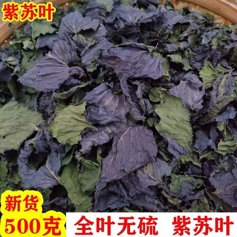 中药材紫苏叶香苏叶干紫苏叶干货烧鱼虾蟹去腥包邮