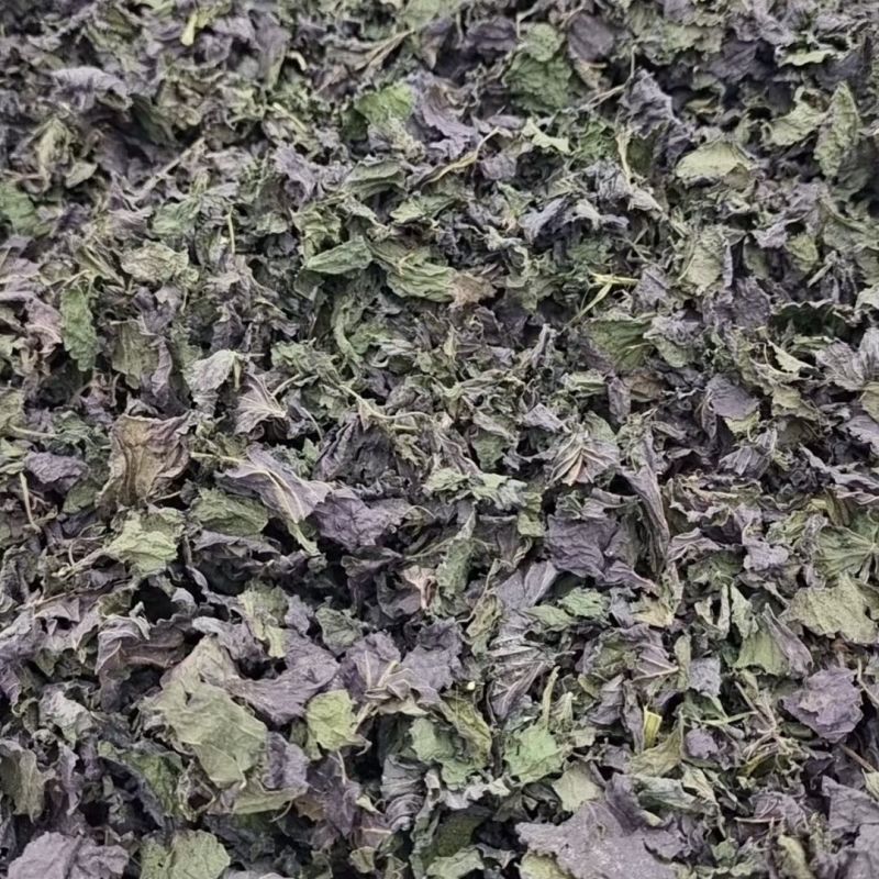 中药材紫苏叶香苏叶干紫苏叶干货烧鱼虾蟹去腥包邮